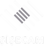 sisecam